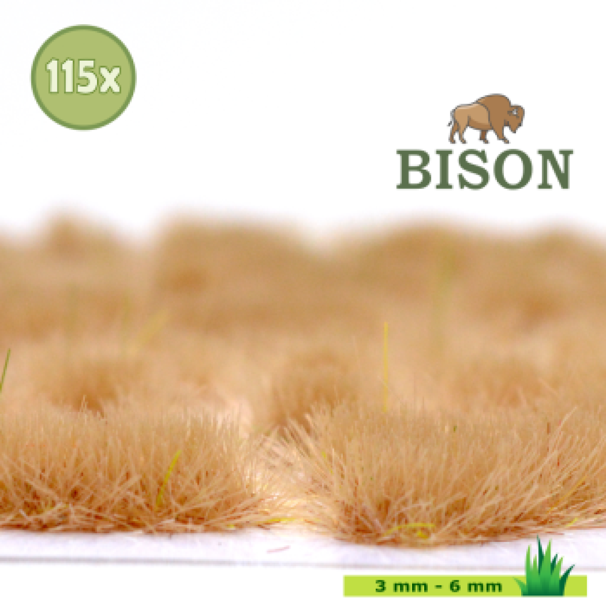 Bison Gras Winter